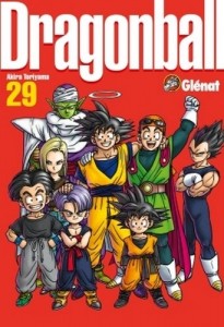 Dragon Ball Perfect - Tome 29 